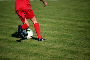 九游体育线上-中国青少年篮球运动员伤病防控体系建设，青少年篮球训练现状分析